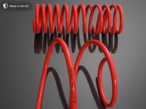 FIAT Topolino Lowering Springs - MADNESS - Sport