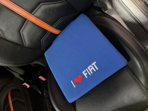 FIAT 500 Seat Cushion - Blue w/ I Love FIAT 500 Logo