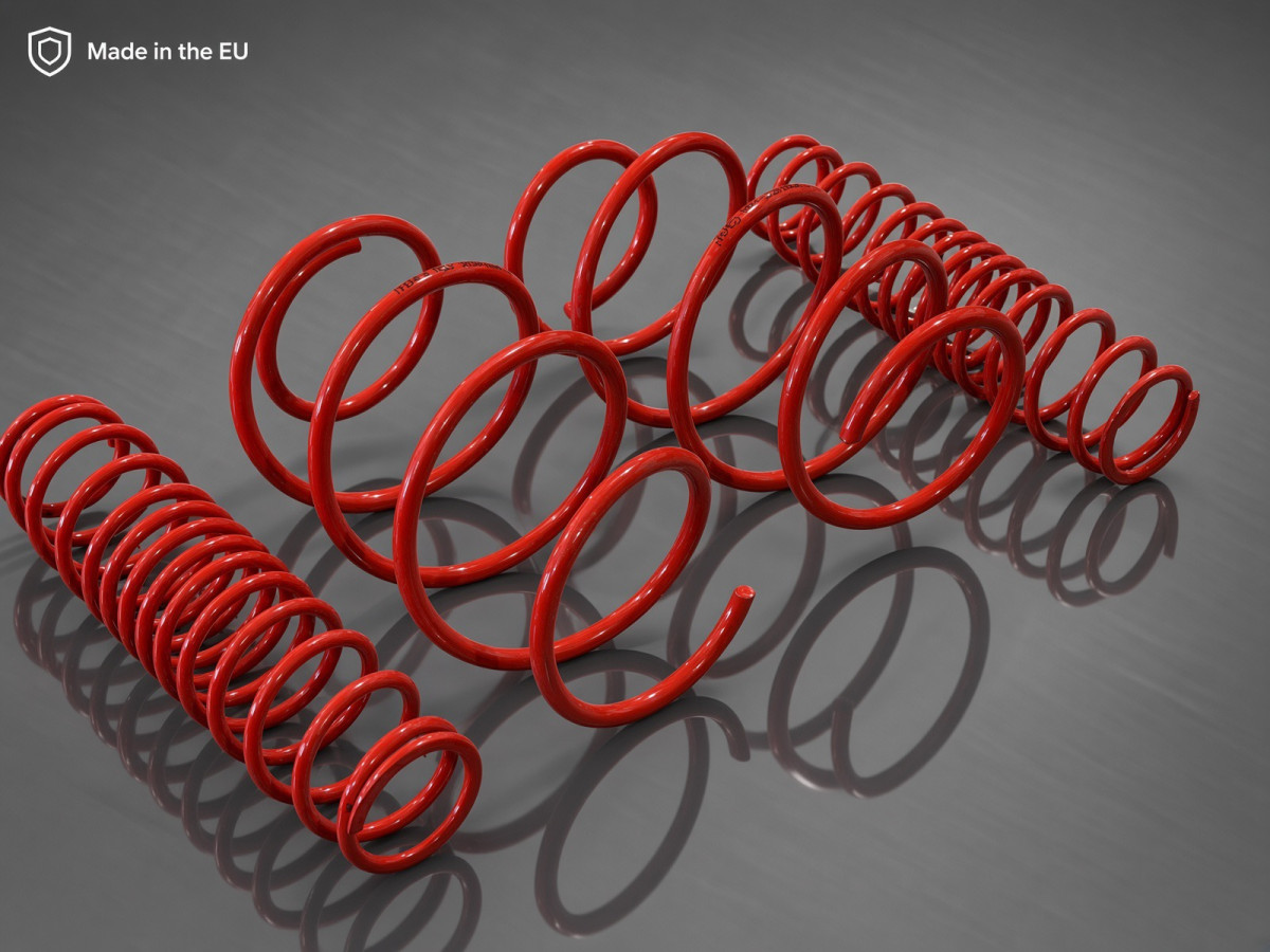 FIAT Topolino Lowering Springs - MADNESS - Sport