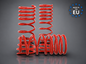 FIAT Topolino Lowering Springs - 20/30mm